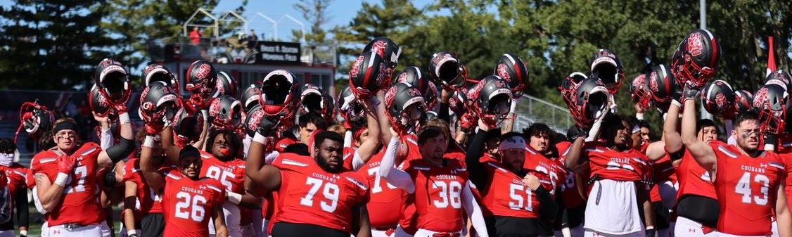 Football helmets